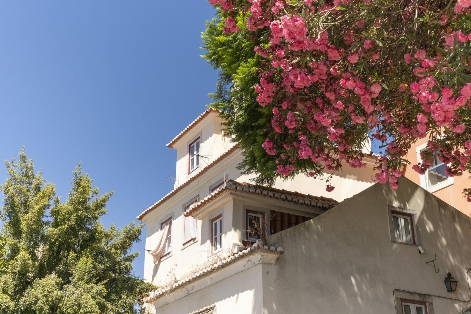 Duplex No Centro Historico De Lisboa - Ttl321 Apartment Ngoại thất bức ảnh